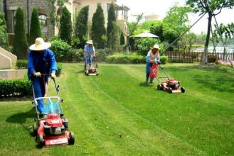 草皮养护